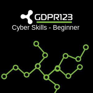 Cyber Skills - Beginner