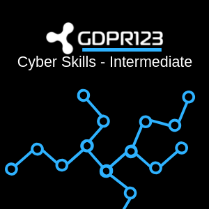 Cyber Skills - Intermediate 