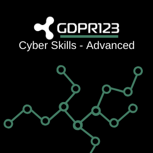Cyber Skills - Advanced