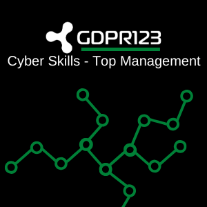 Cyber Skills - Top Management